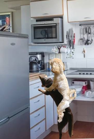 生き物ルーム第41