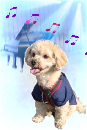 生き物ルーム第40