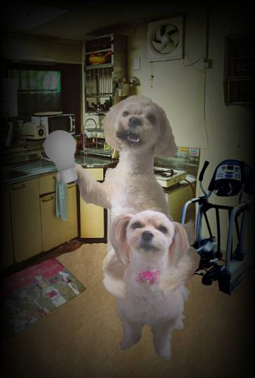 生き物ルーム第41