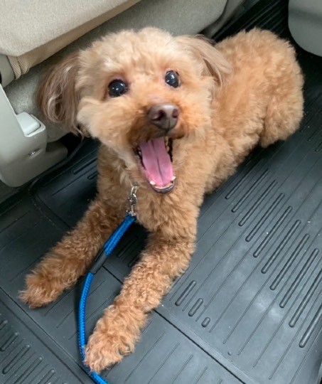 生き物ルーム第40