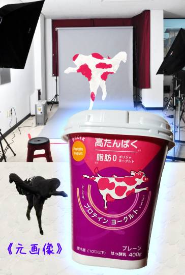 生き物ルーム第40