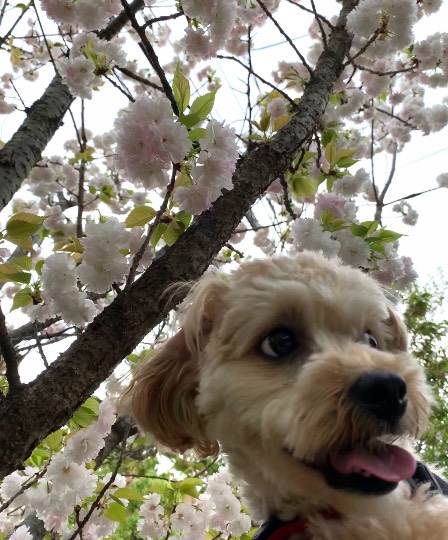 生き物ルーム第40