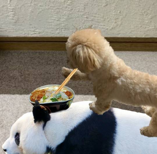 生き物ルーム第40