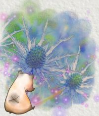 花木、ハーブ野菜、ガーデニング、昆虫etc 大好きさん集まれ5　書き込み初心者大歓迎。