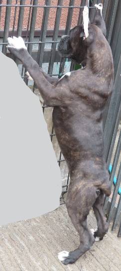 生き物ルーム第40