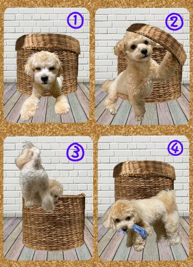 生き物ルーム第40