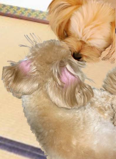 生き物ルーム第40