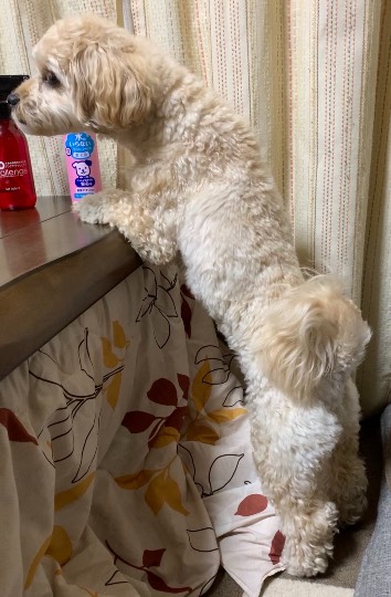 生き物ルーム第40