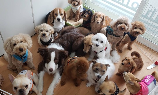 生き物ルーム第40