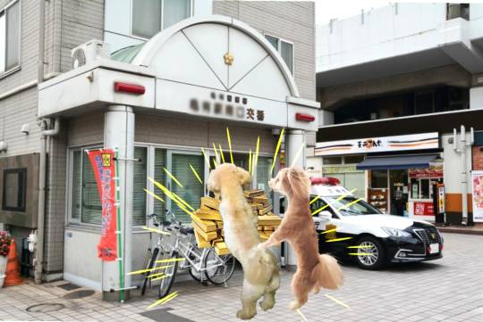 生き物ルーム第41