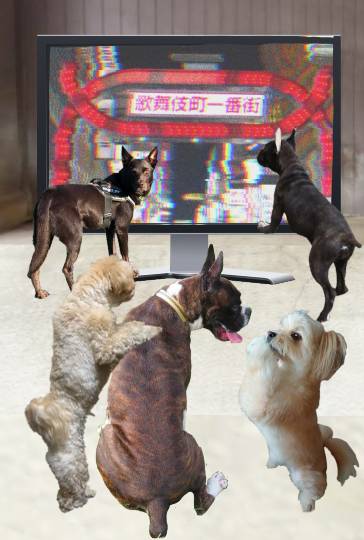 生き物ルーム第41