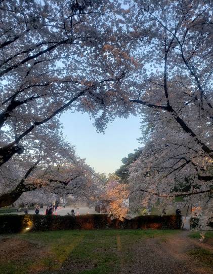 ★ドンキ♡♡ロピア 雑談26★