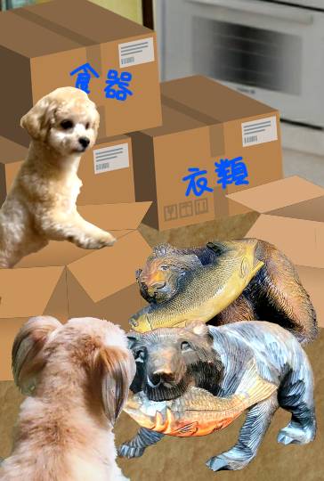 生き物ルーム第41