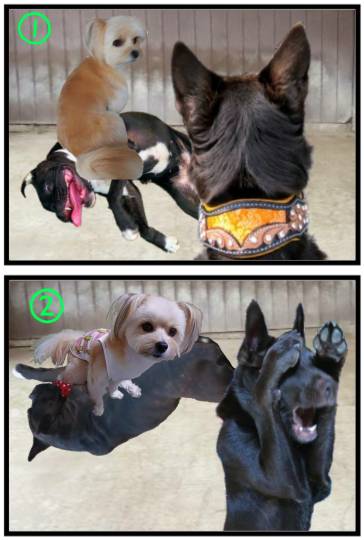 生き物ルーム第41