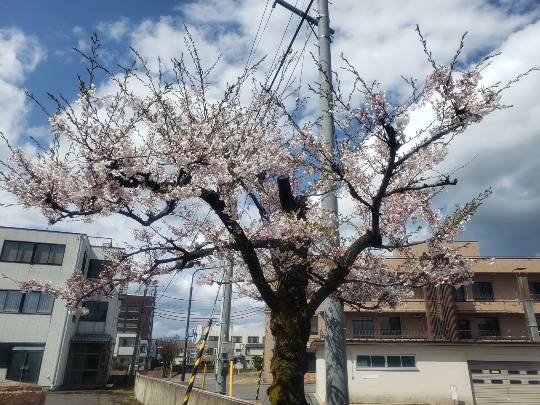 マスク同窓会詰所兼ニューフェイス歓迎所21