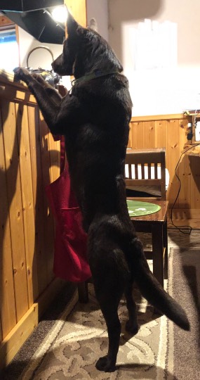 生き物ルーム第41