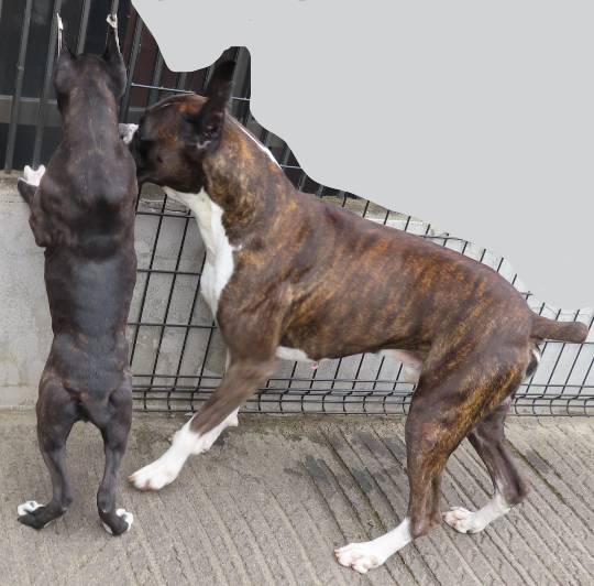 生き物ルーム第40