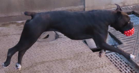 生き物ルーム第40