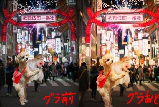 生き物ルーム第40