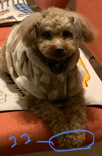 生き物ルーム第40