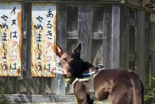 生き物ルーム第41