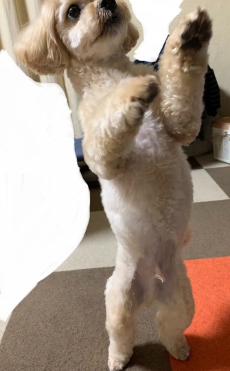 生き物ルーム第41