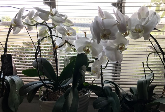 ★ドンキ♡♡ロピア 雑談24★