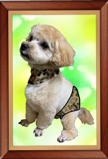 生き物ルーム第40