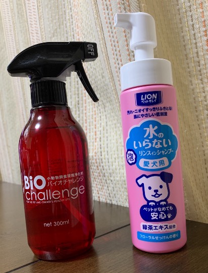 生き物ルーム第40