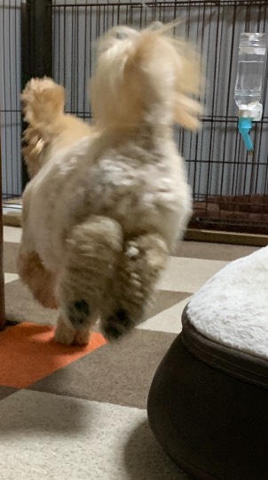 生き物ルーム第41