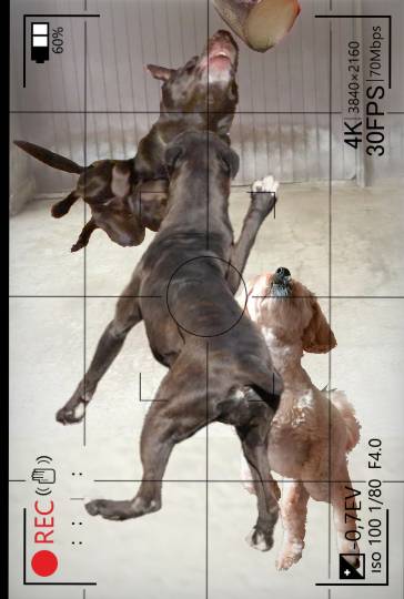 生き物ルーム第41