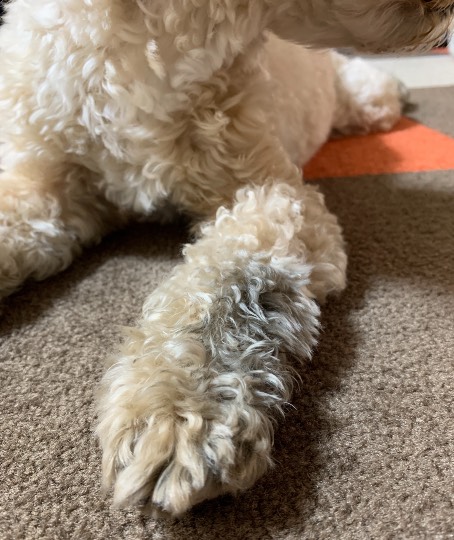 生き物ルーム第41