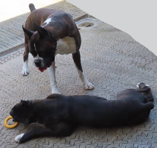 生き物ルーム第40