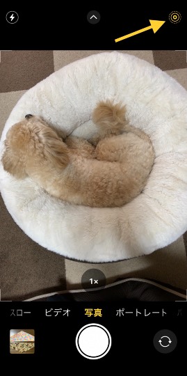 生き物ルーム第40