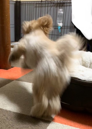 生き物ルーム第41