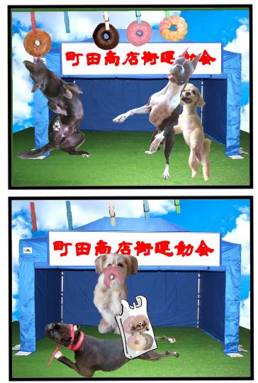 生き物ルーム第41