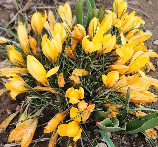 ★ドンキ♡♡ロピア 雑談25★