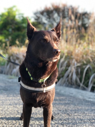 生き物ルーム第41