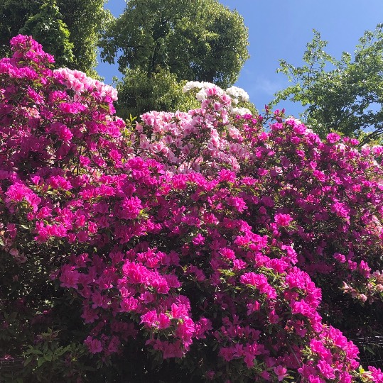 ★ドンキ♡♡ロピア 雑談27★