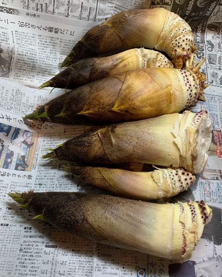 生き物ルーム第41