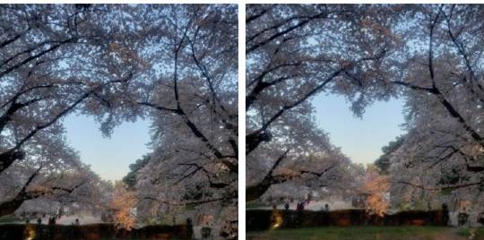 ★ドンキ♡♡ロピア 雑談26★