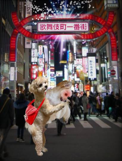 生き物ルーム第40