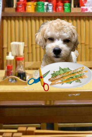 生き物ルーム第40