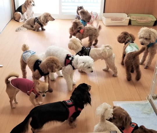 生き物ルーム第41