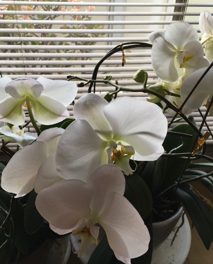 生き物ルーム第41