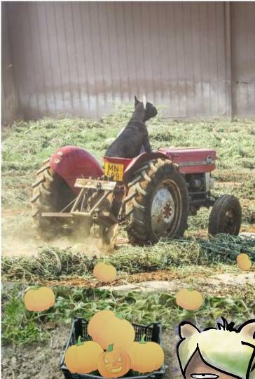 生き物ルーム第40