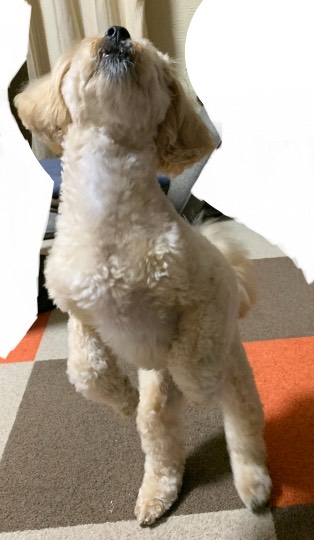 生き物ルーム第41