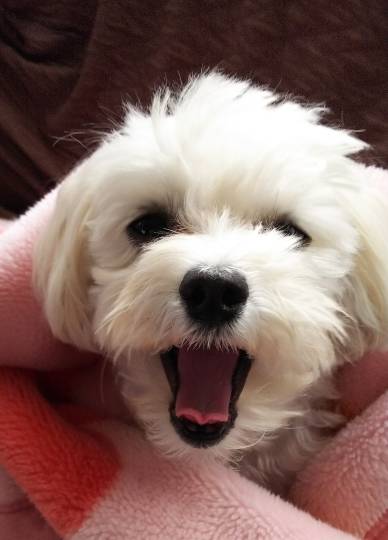 生き物ルーム第40