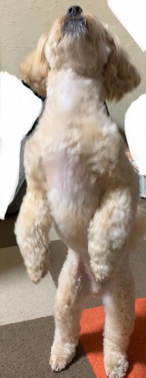 生き物ルーム第41