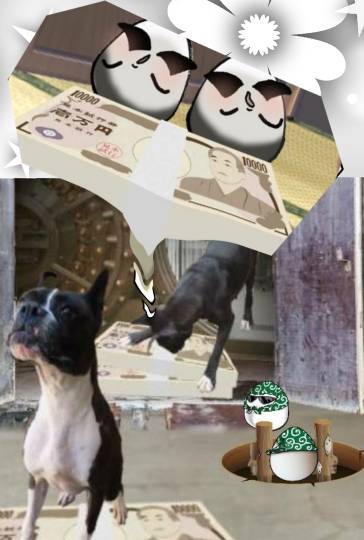 生き物ルーム第40